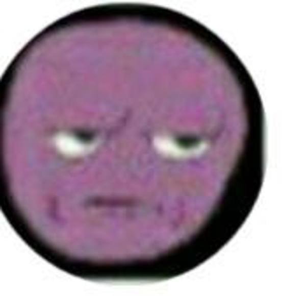 Meet your Posher, Brad - Picture 1 of 1